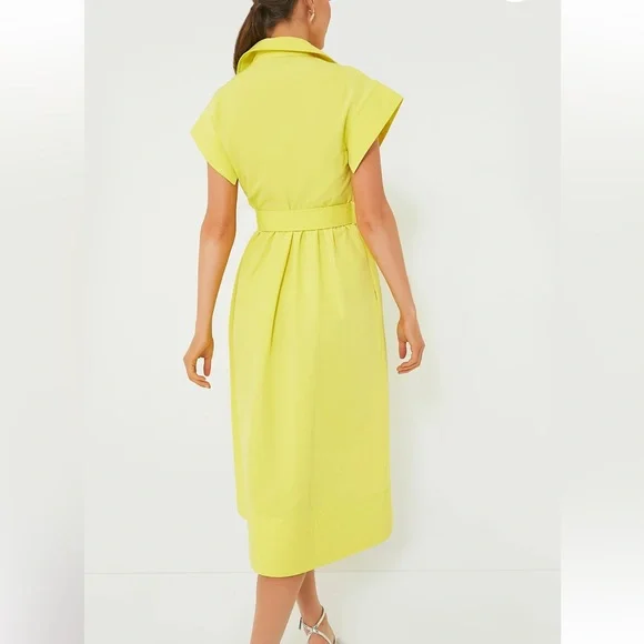 TUCKERNUCK Citron Chloe Dress SMALL - Picture 3 of 13